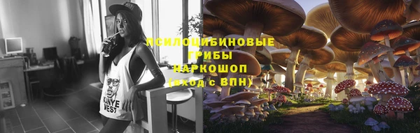 гидропоника Алзамай