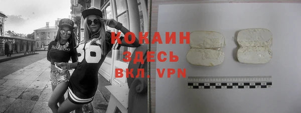 ешки Алексин