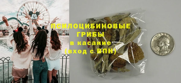 ешки Алексин