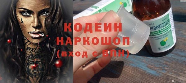 ешки Алексин