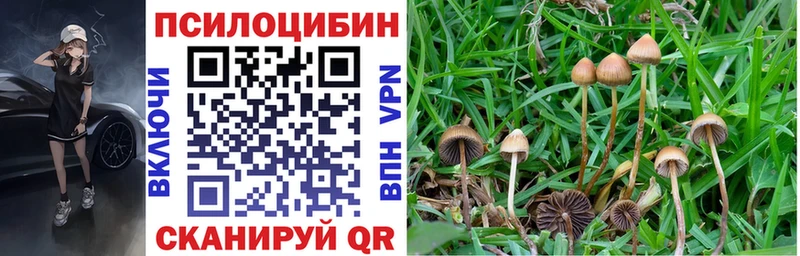 Галлюциногенные грибы ЛСД  что такое   Цоци-Юрт 