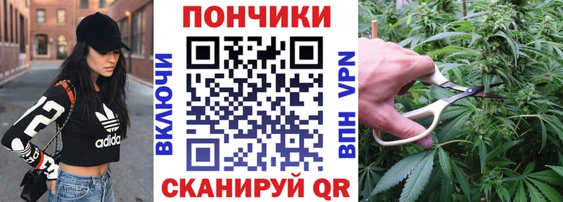 Каннабис Amnesia Цоци-Юрт